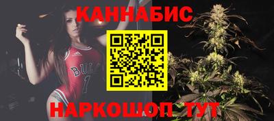 индика Гай