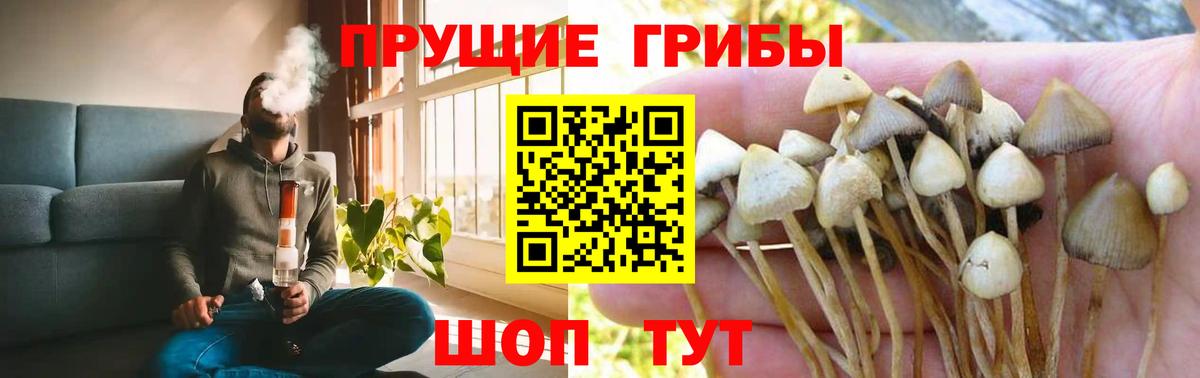 Псилоцибиновые грибы ЛСД  Вход с VPN  Заводоуковск 