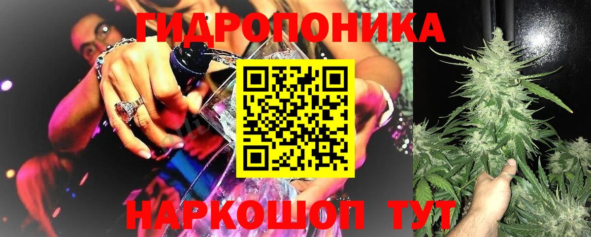 Бошки Шишки MAZAR  Вход с VPN  Заводоуковск  Бошки марихуана индика  Шишки марихуана план 